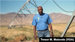 Grower Tesfa Drar stands near irrigation equipment in a field of teff in northeastern Nevada. His company, Selam Foods, sells the ancient grain native to the Horn of Africa, Oct. 2021. (Tresor M. Matondo / VOA)
