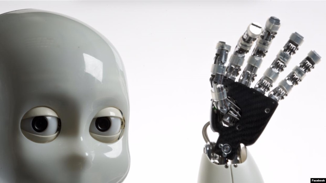Robot iCub produksi Institut Teknologi Italia (IIT). (Facebook/IITalk)