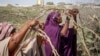 FILE - Somali women who fled drought-stricken areas build shelters near Mogadishu, Somalia, Feb. 4, 2022. International Women's Day on March 8, 2025, honors women worldwide for their resilience amid conflict. This year's theme calls for action that unlocks equal rights for all.