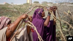 FILE - Somali women who fled drought-stricken areas build shelters near Mogadishu, Somalia, Feb. 4, 2022. International Women's Day on March 8, 2025, honors women worldwide for their resilience amid conflict. This year's theme calls for action that unlocks equal rights for all.