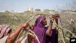 Somali women who fled drought-stricken areas start to build shelters at a makeshift camp on the outskirts of the capital Mogadishu, Somalia, Feb. 4, 2022.