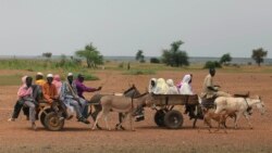 COP 15: "le désert progresse de 5km chaque année en Afrique de l'Ouest"