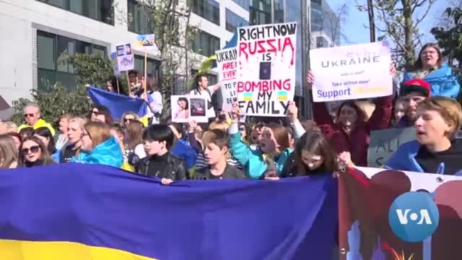 In Brussels Streets, Demonstrators Demand NATO and EU Intervention in Ukraine 