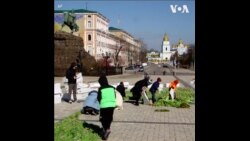 基辅市民在市中心广场摆放郁金香花 