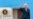 White House: Biden to Travel to Egypt, Cambodia, Indonesia for November Summits