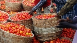 L'agriculture urbaine gagne du terrain à Lomé