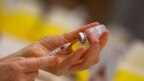 Nghiên cứu: Mũi vắc-xin thứ tư chống lại bệnh nặng từ Omicron