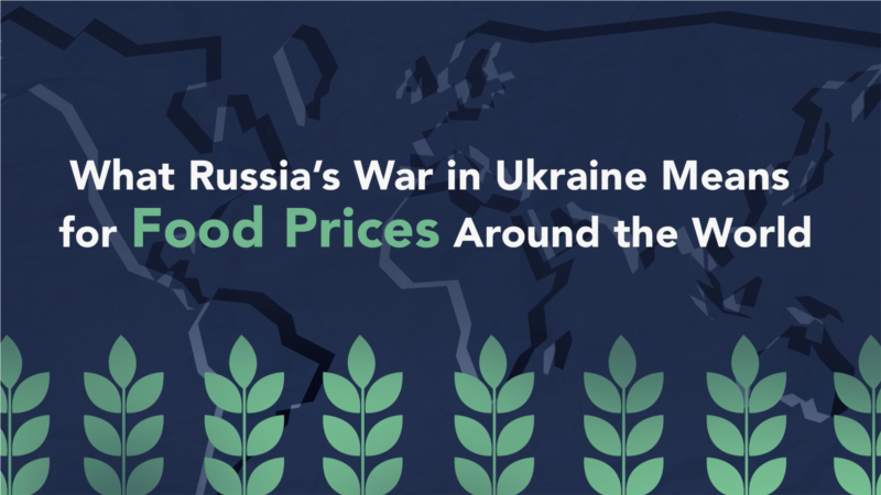 The Impact of the Russian Invasion on Food Prices Around the World