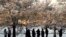Sejumlah warga tampak menikmati bunga sakura yang bermekaran di area Tidal basin, Washington, pada 22 Maret 2022. (Foto: Reuters/Kevin Lamarque) 