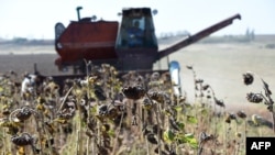 FILE - A combine harvester machine works on a sunflowers field, in the outskirts of Donetsk, eastern Ukraine, Sept. 20, 2014.