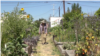 Farming Takes Hold in Undeveloped Areas of Los Angeles