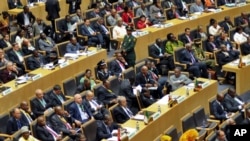 FILE - Delegates are seen attending the opening session of the African Union (AU) summit in Addis Ababa, Ethiopia, Jan. 30, 2014.