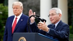 El doctor Anthony Fauci, director del Instituto de Alergias y Enfermedades Infecciosas de EE.UU., durante la rueda de prensa en los jardines de la Casa Blanca el 29 de marzo de 2020.