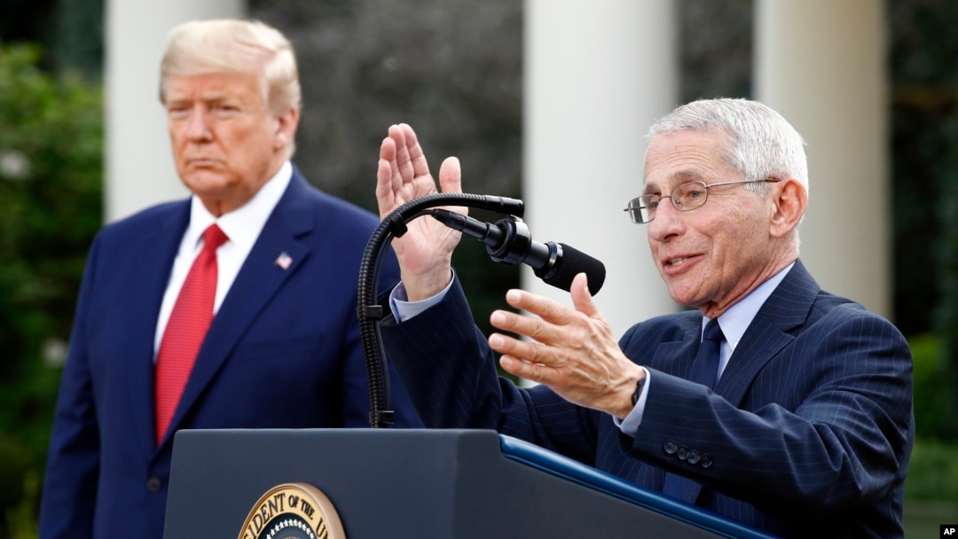 Tổng thống Hoa Kỳ Donald Trump và Bác sĩ Anthony Fauci tại một cuộc họp báo của Nhà Trắng.