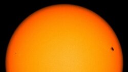 The Sun and Space Weather