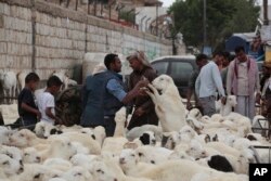 Orang-orang mengunjungi pasar ternak di Sanaa, Yaman, sehari sebelum hari raya kurban atau Iduladha hari Sabtu, 15 Juni 2024.