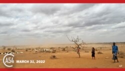 Africa 54 - Ukrainian Girl Sings in Bomb Shelter, Child Hunger in Ethiopia & Diversity in Nigeria