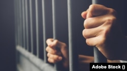 প্রতীকী ছবি। 
