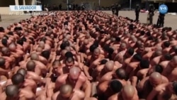 El Salvador’da Çete Şiddetine Karşı Büyük Operasyon 