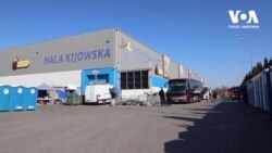 Як приймають українців у Польщі. Відео