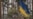 Latest Developments in Ukraine: April 1