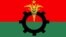 বিএনপি'র লোগো