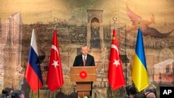 Президент Турции Реджеп Эрдоган обращается к участникам переговоров 29 марта в Стамбуле.