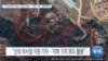[VOA 뉴스] “ICBM 발사 장소 ‘순안 남쪽’…‘신리 기지’ 실체 확인”