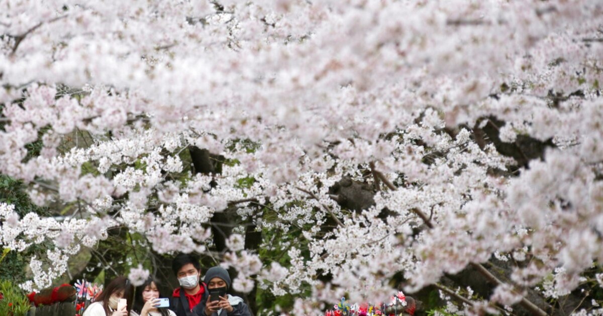 02870000-0aff-0242-da92-