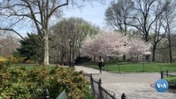 Amerikaga sayohat: Markaziy park