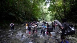 Sala de Redacción: Panamá migración El Darién
