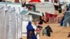 Palestinska djevojka drži mačku u improviziranom kampu postavljenom na plaži u Rafahu, u južnom pojasu Gaze, 30. januara 2024. godine.