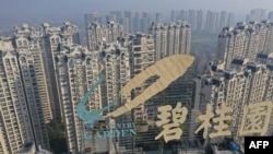 资料照片：中国江苏省镇江市一栋楼房顶部的碧桂园标志，（2021年10月31日）