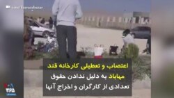 اعتصاب و تعطیلی کارخانه قند مهاباد به دلیل ندادن حقوق تعدادی از کارگران و اخراج آنها