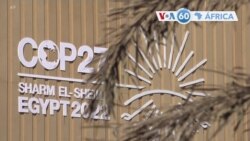 Manchetes africanas 14 novembro: Conferência COP27 na segunda semana