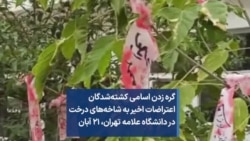 گره زدن اسامی کشته‌شدگان اعتراضات اخیر به شاخه‌های درخت در دانشگاه علامه تهران، ۲۱ آبان