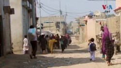 په کراچۍ کې مېشت افغان کډوال ادعا کوي، چې په تېرو څو میاشتو کې په کراچې ښار او سیند صوبه تر ۱۷۰۰ پورې افغانان د پولیسو لخوا نیول شوي.