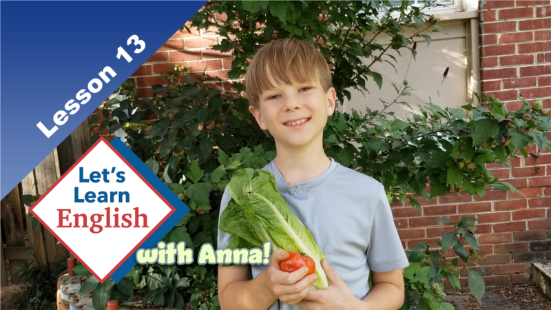 Lesson 13: What is at a farmers’ market?