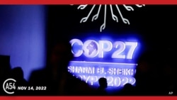 Africa 54: Aid Plan Unveiled at COP27 & Mozambique Exports Gas to Alleviate Europe's Energy Need