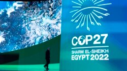 Nightline Africa: COP27 Continues in Egypt, Kenyan Soldiers Landed in GOMA, DRC & More