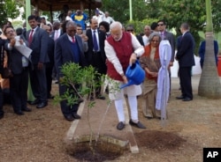 Indian Prime Minister Narendra Modi plants a tree at a settlement established by Mahatma Gandhi on the outskirts of Durban, South Africa, July 9, 2016. Modi is on a four nation trip to Africa.