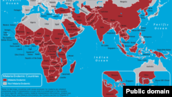 Pemetaan global malaria. WHO mencatat 80% kasus malaria ditemukan di 18 negara Afrika, dimana setengah dari kasus itu terdapat di Nigeria dan Republik Demokratik Kongo