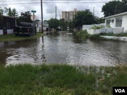 Tidal flooding in Highland Village, North Miami Beach. (Keren Bolter/SFRPC)