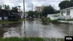 Tidal flooding in Highland Village, North Miami Beach. (Keren Bolter/SFRPC)