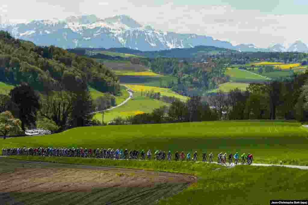 Một đoàn đua tranh tài trong chặng thứ hai, hơn 173,9 km giữa Moudon và Morgins, trong giải đua xe đạp Tour de Romandie UCI ProTour lần thứ 70 ở Morgins, Thụy Sĩ.