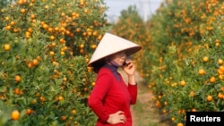 A kumquat seller uses a mobile phone while waiting for customers in Hanoi in January 2014. E-commerce is growing in Vietnam, despite the lack of credit cards that usually facilitate electronic transactions.