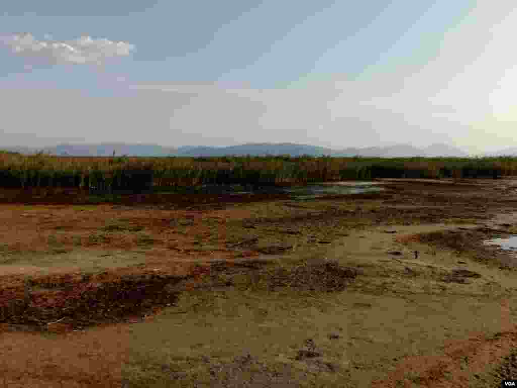 Prespa Lake low level of the water - 13