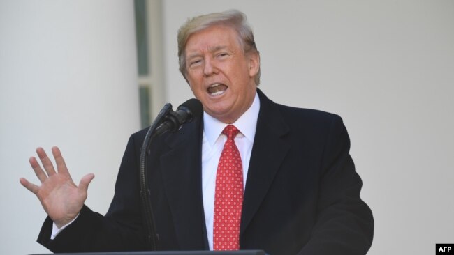 资料照片：特朗普总统在白宫玫瑰园赦免火鸡的仪式上发表讲话。(2019年11月27日)