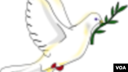 Peace dove