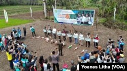 Kegiatan gerakan tanam jagung komposit oleh BPTP Sulawesi Tengah di lahan percontohan seluas satu hektare di desa Tingkeao, Morowali Utara, Sulawesi Tengah. Jumat (23/4/2021). (Foto: VOA/Yoanes Litha)